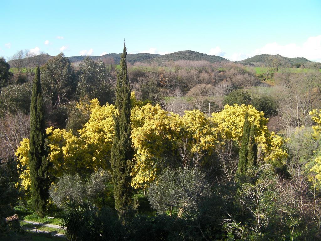 Casale Del Tiglio Bed and Breakfast Cerveteri Camera foto