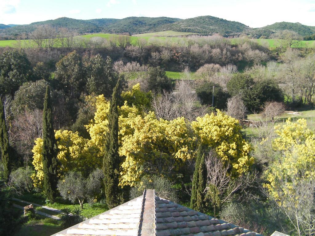Casale Del Tiglio Bed and Breakfast Cerveteri Camera foto
