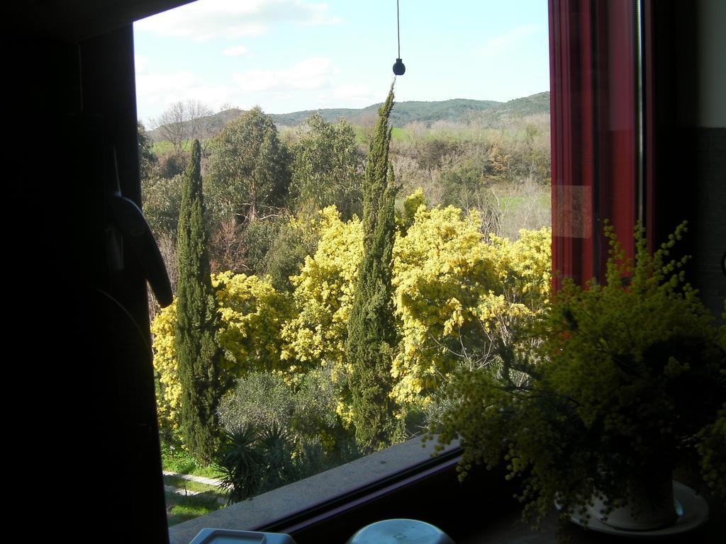 Casale Del Tiglio Bed and Breakfast Cerveteri Camera foto