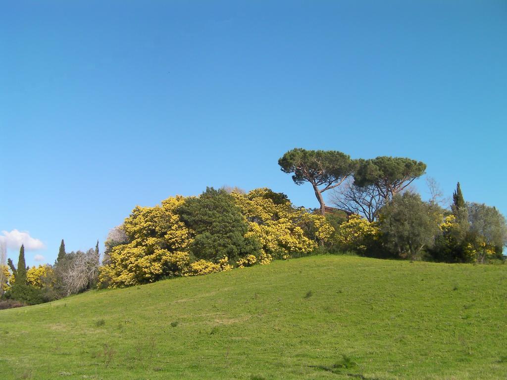 Casale Del Tiglio Bed and Breakfast Cerveteri Camera foto